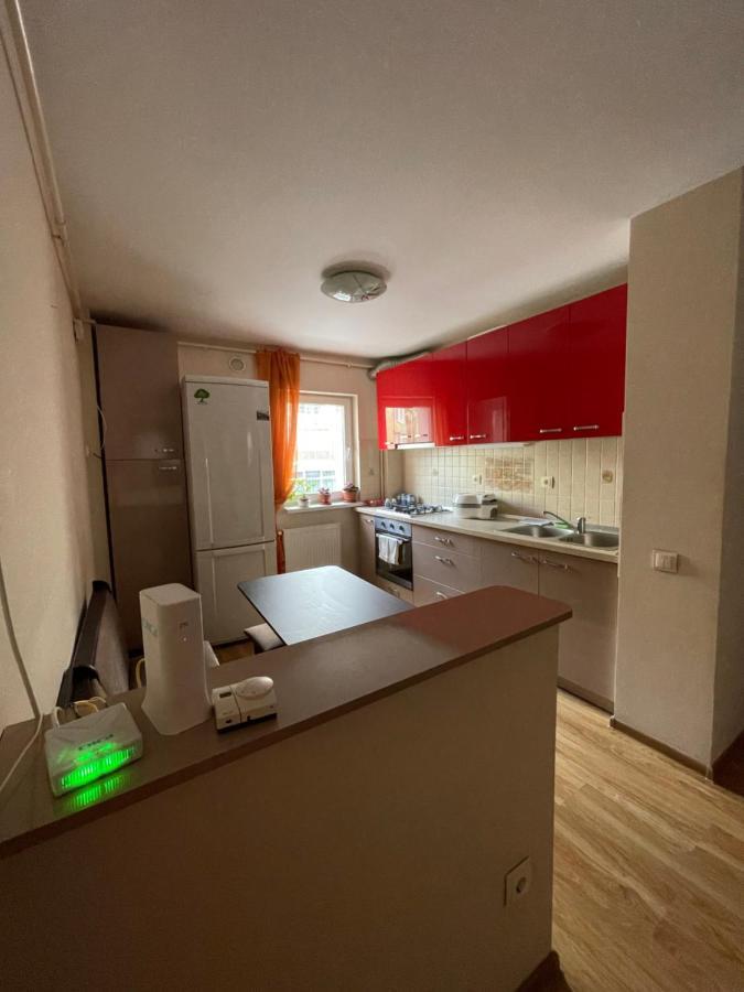 布拉索夫Cerna Apartament公寓 外观 照片