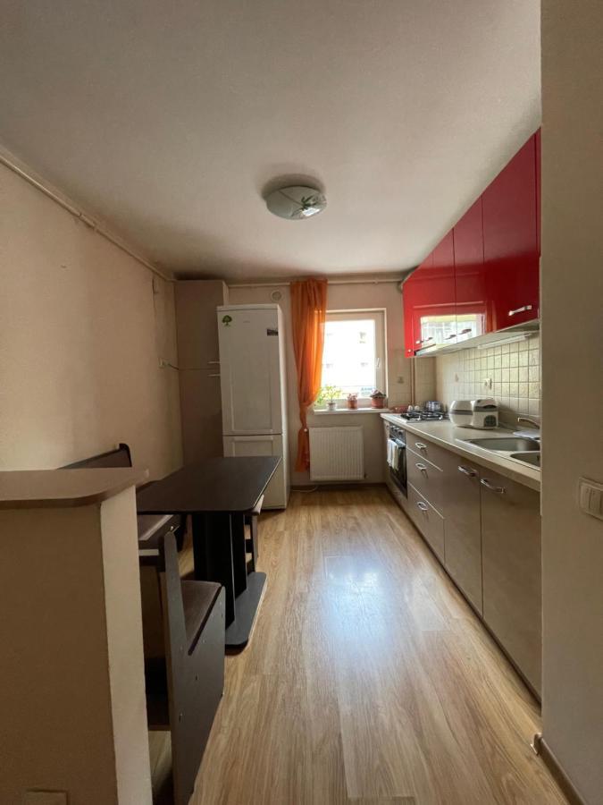 布拉索夫Cerna Apartament公寓 外观 照片