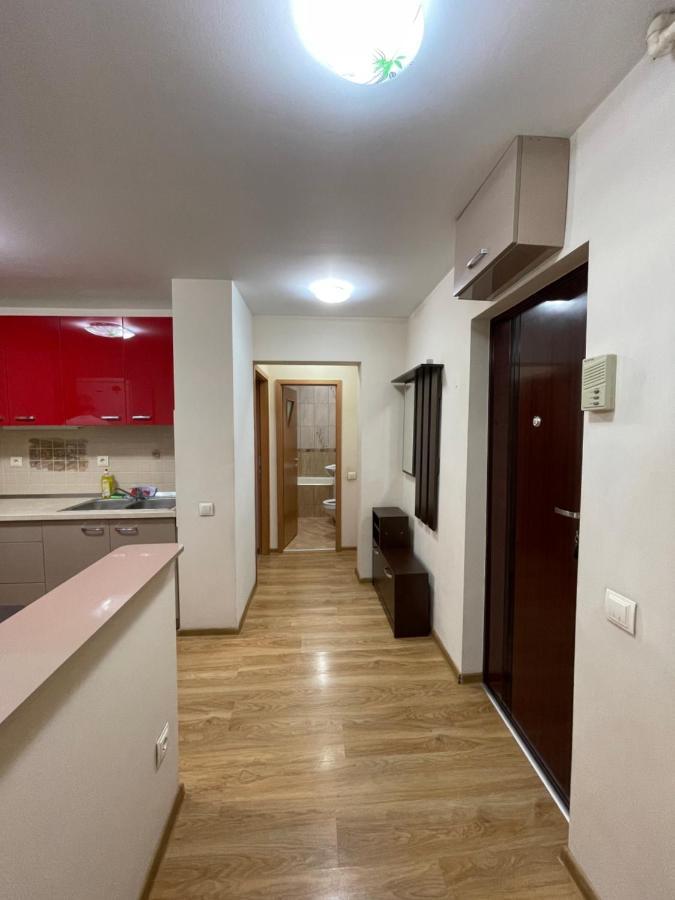 布拉索夫Cerna Apartament公寓 外观 照片